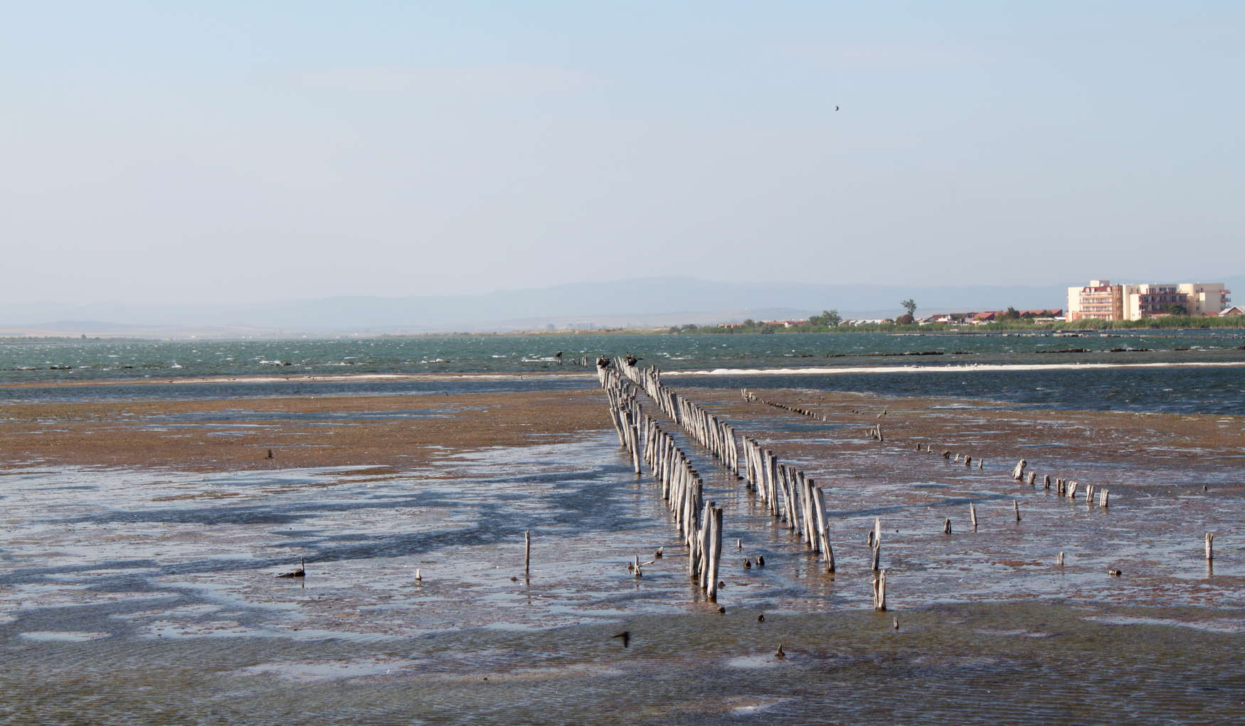 Поморийское Озеро фото 1