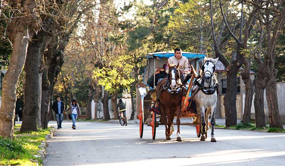 Принцевы Острова фото 1