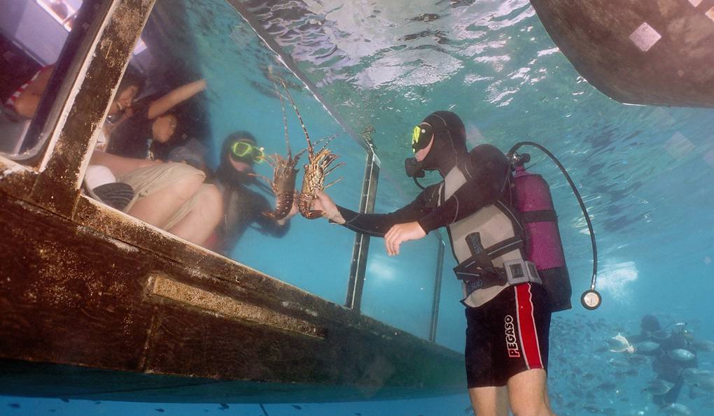 Прогулка на Катере до Острова Видос (ЗАКРЫТ) фото 1