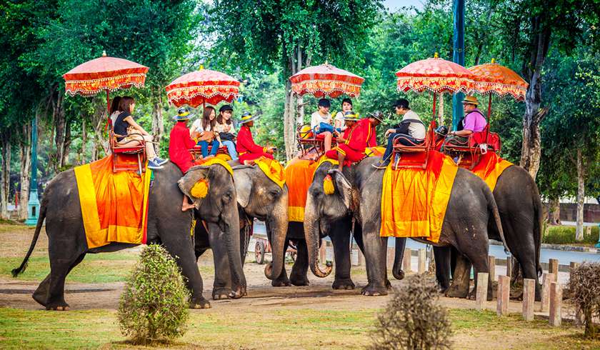 Прогулка на Слонах фото 1