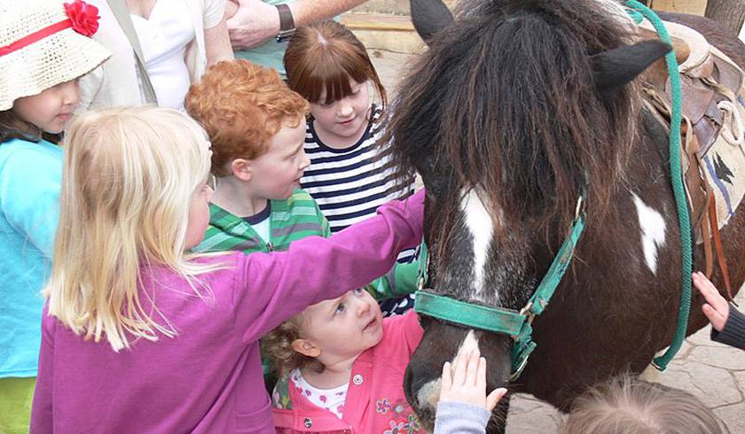 Страусиная Ферма на Тенерифе (ЗАКРЫТО) фото 1