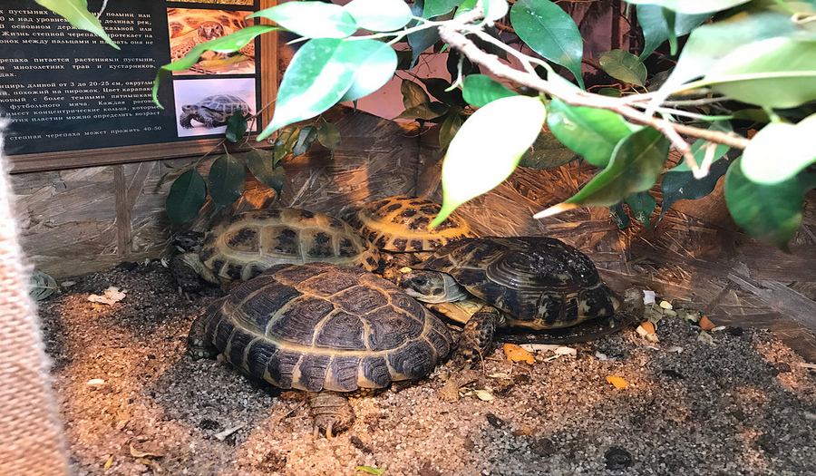 Сад Бабочек Миндо фото 1