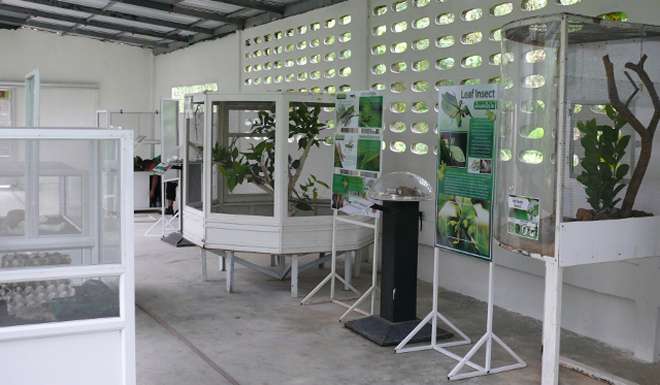 Сад Бабочек (ЗАКРЫТ) фото 1