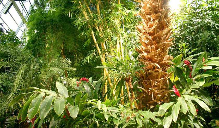 Сад Gardenia (ЗАКРЫТ) фото 1