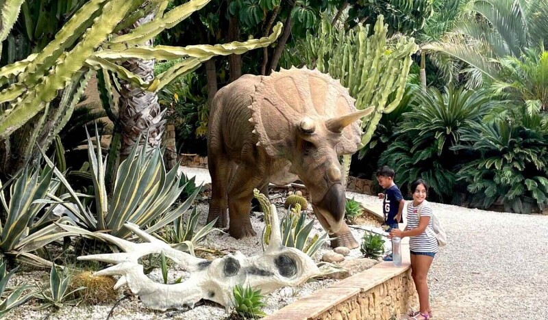 Cactus dAlgar and Dinopark