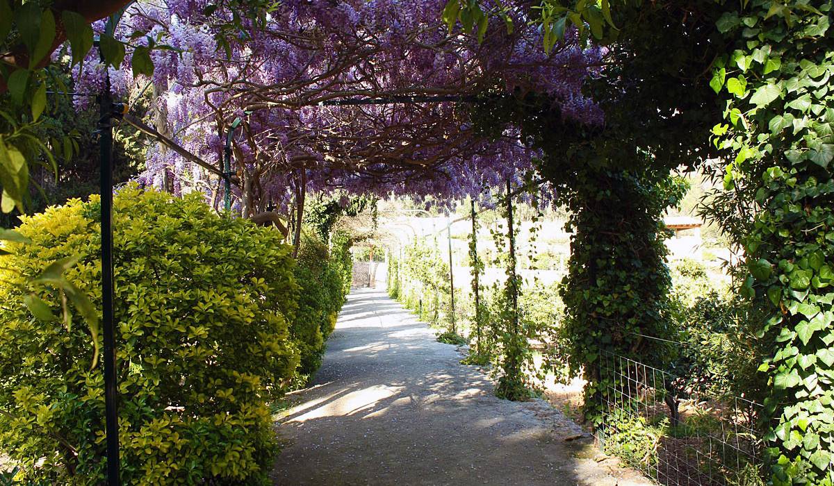 Сады Альфабия (Jardines d'Alfabia)