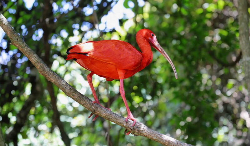 Safari Park La Reserva