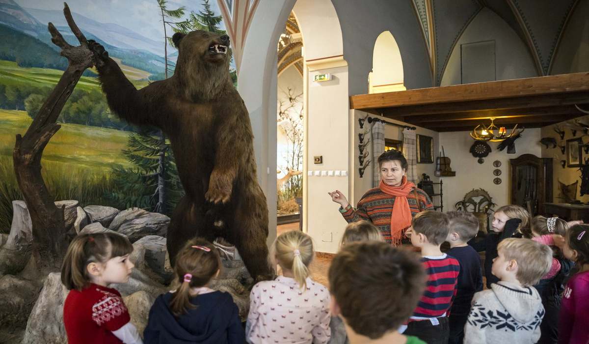 Сельскохозяйственный Музей Будапешта фото 1