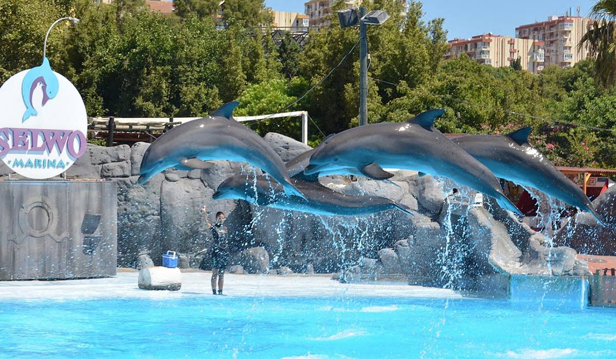 Парк развлечений Терра Натура Мурсия фото 1