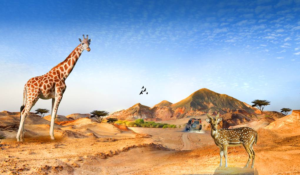 Сир-Бани-Яс фото 1