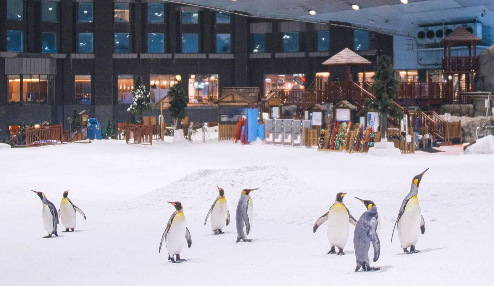 Ski Dubai