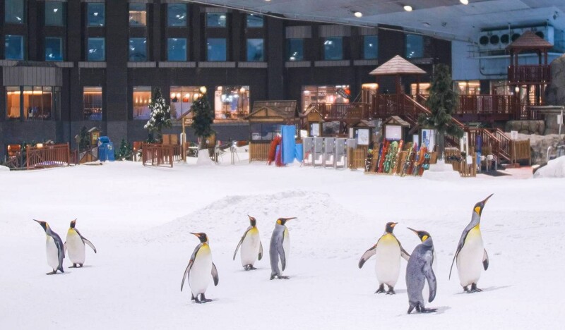 Ski Dubai