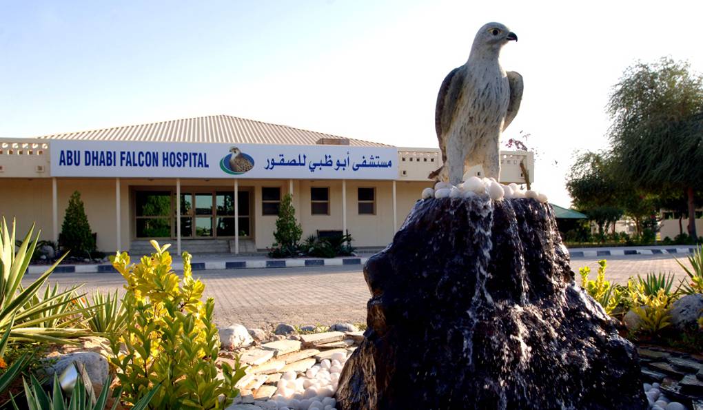 Соколиный Госпиталь Абу-Даби фото 1