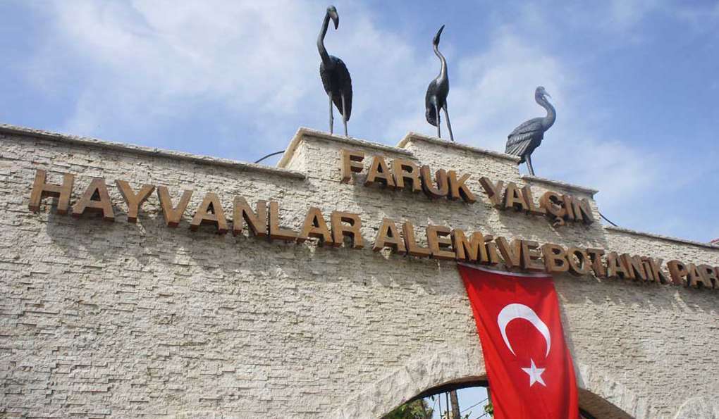 Стамбульский Зоопарк фото 1