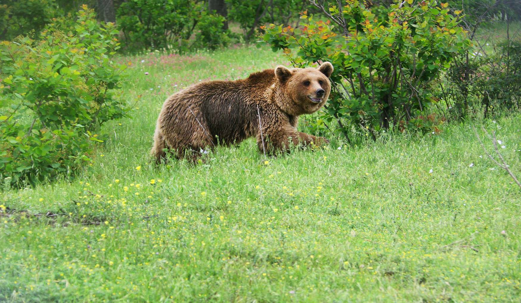 Тбилисский Зоопарк фото 1