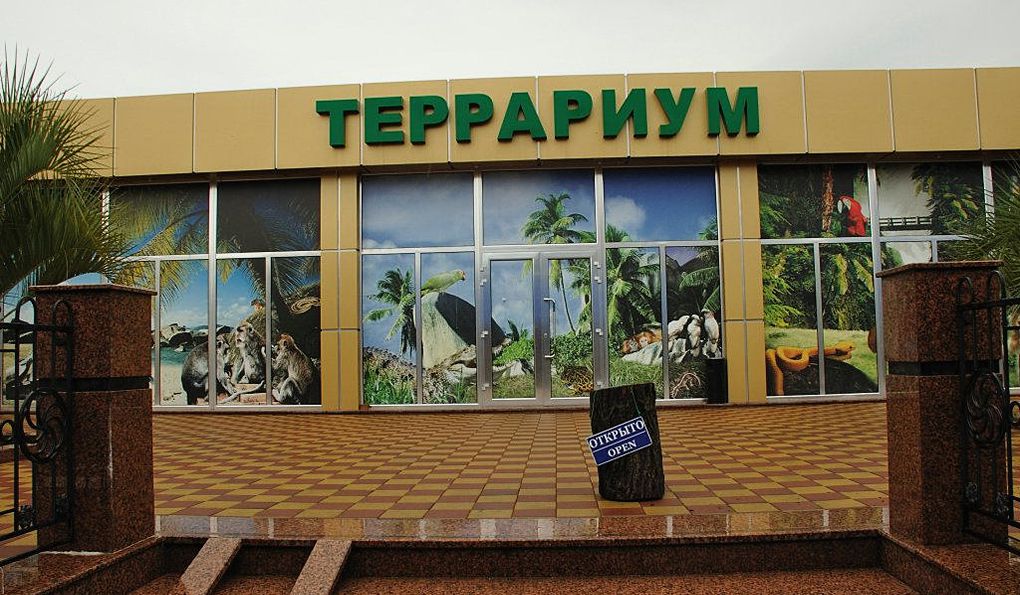 Террариум в Адлере