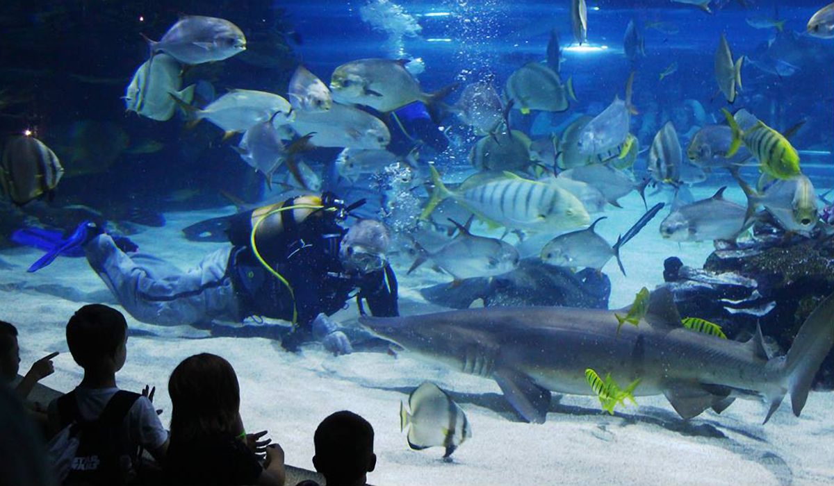 Тропикариум-Океанариум в Будапеште фото 1