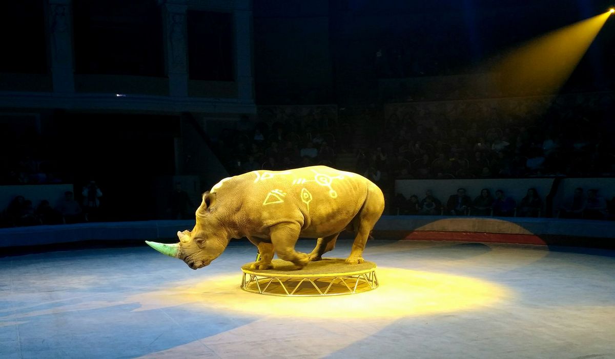 Цирк на Фонтанке фото 1