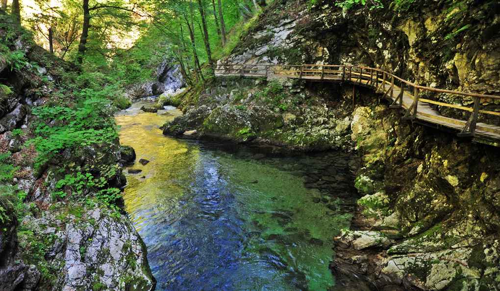 Ущелье Винтгар фото 1