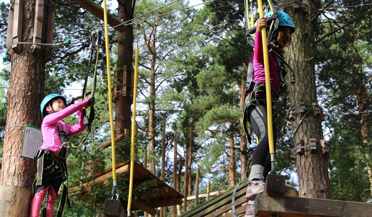 Парк Приключений Laajis фото 1