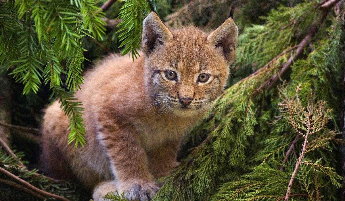 Террариум в Адлере фото 1