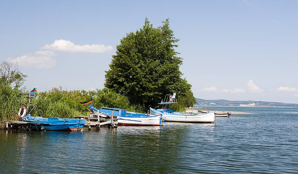 Заповедник Ропотамо фото 1