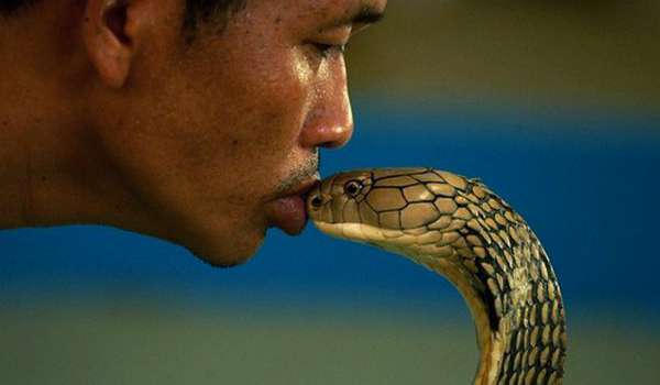 Крокодиловая Ферма на Самуи фото 1