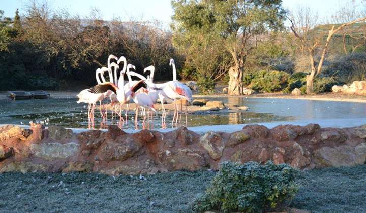 Зоологический Парк Аттики (Зоопарк Афин) фото 1