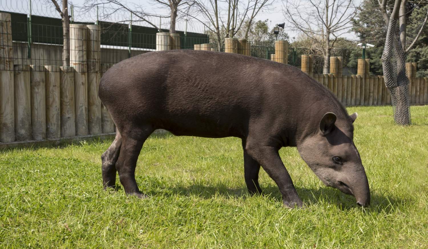 Зоопарк Бурсы фото 1