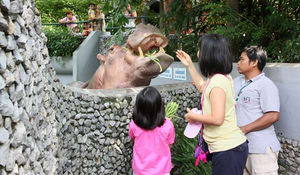 Зоопарк Дусит (ЗАКРЫТ) фото 1