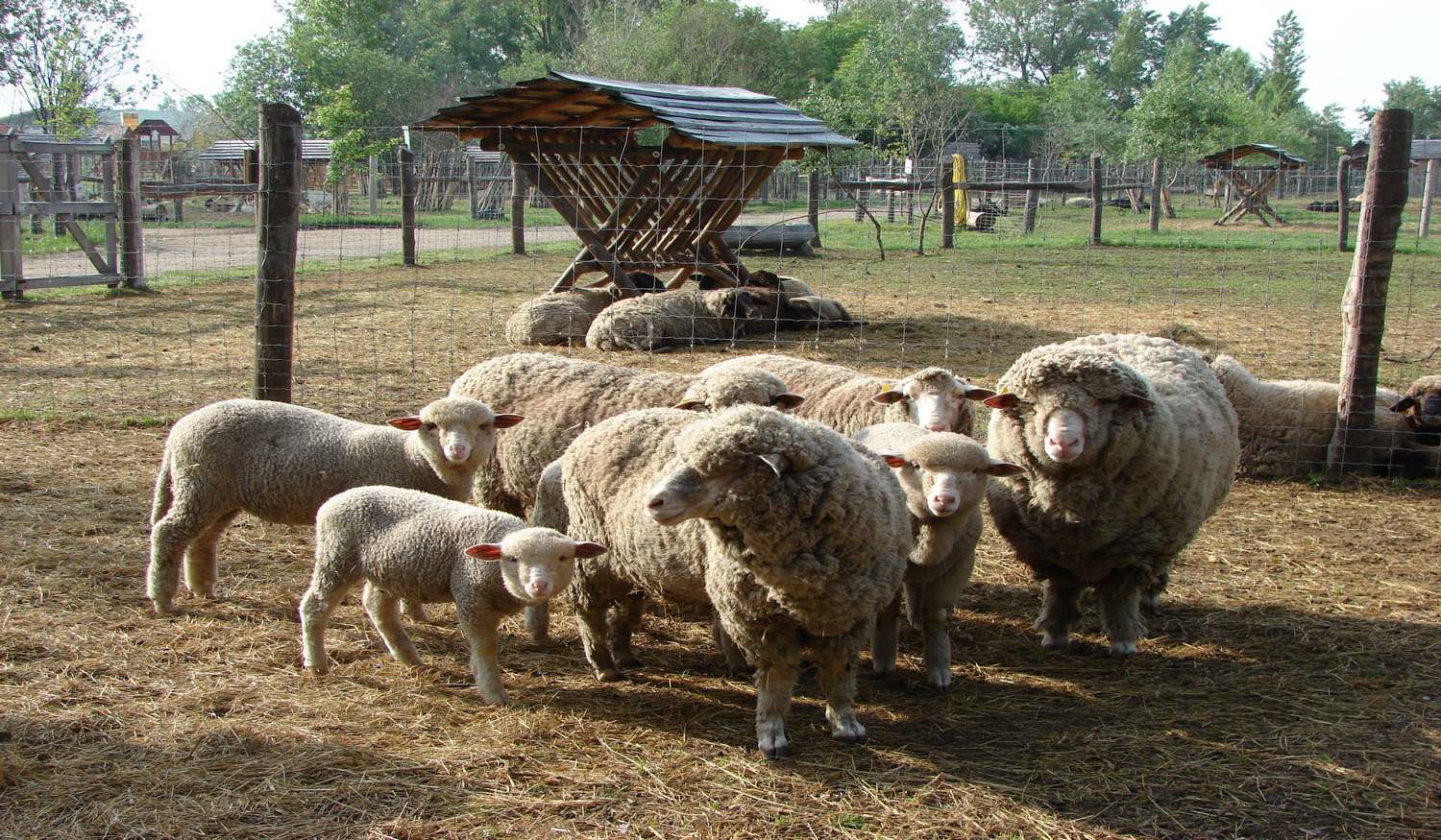 Резерват Буйволов фото 1