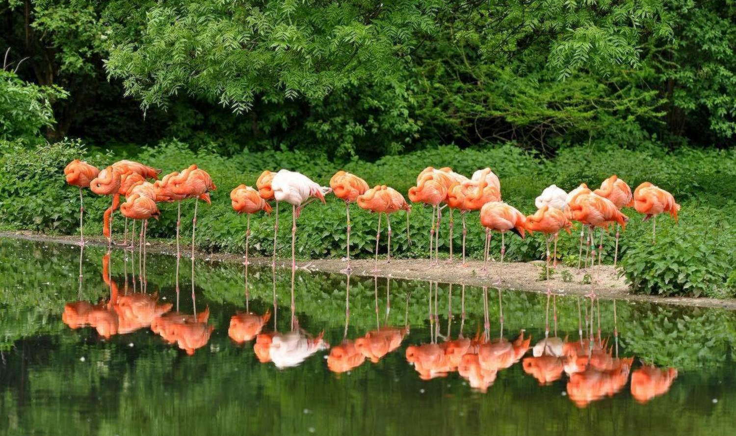 Krefeld Zoo