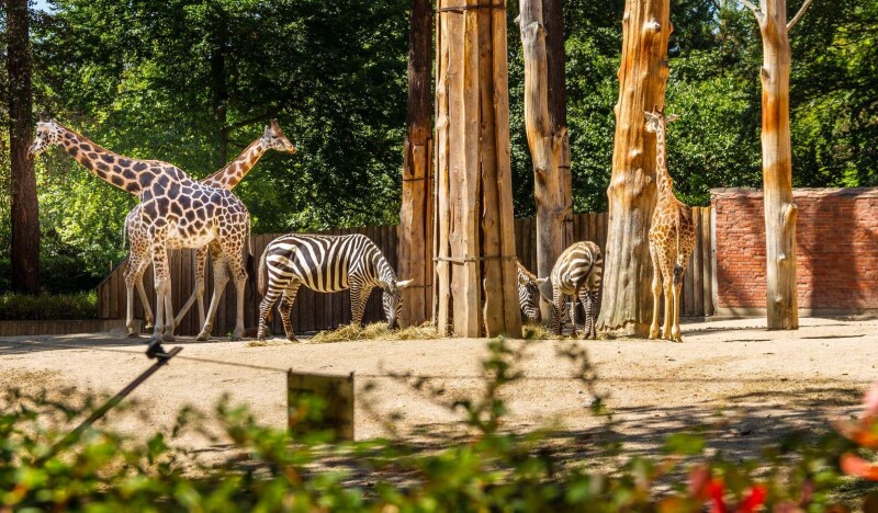 Зоопарк Либерец