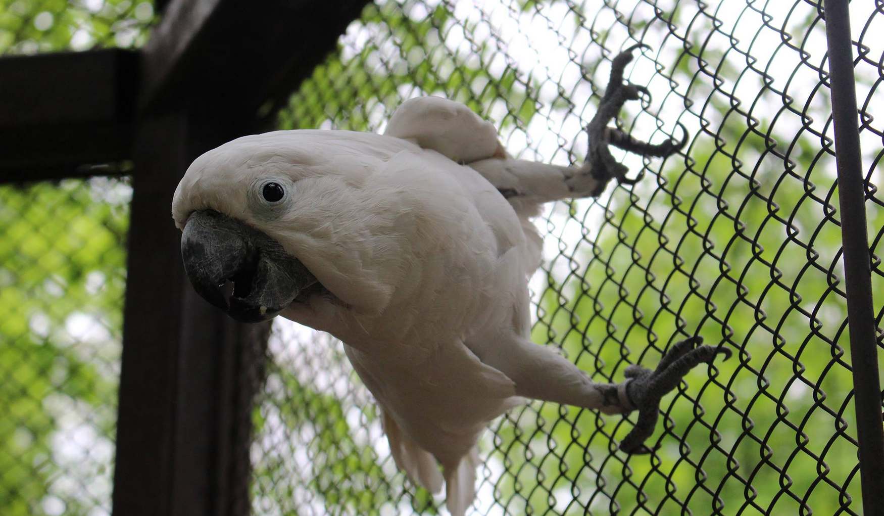 Музей Паннонского моря фото 1