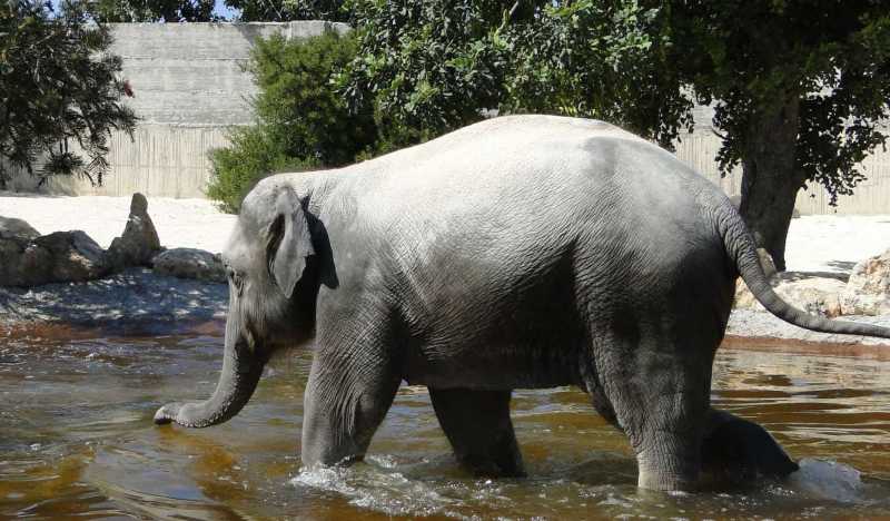 Зоопарк Пафоса