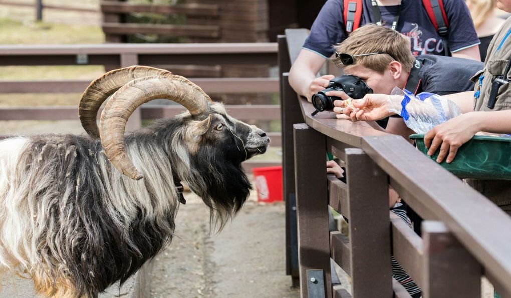 Зоопарк Рануа фото 1