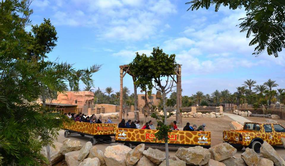 Rio Safari Elche photo 1