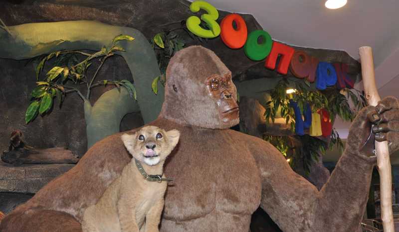 Зоопарк Рио