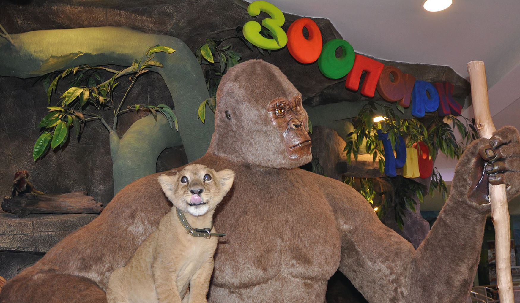 Зоопарк Рио фото 1