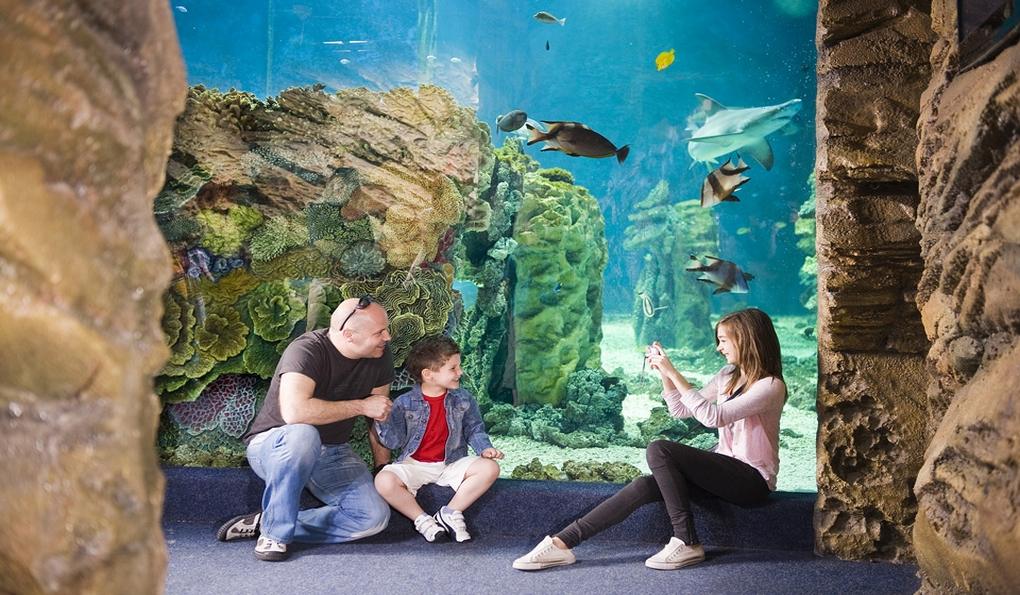 Парк Надьёрде и Аквапарк фото 1