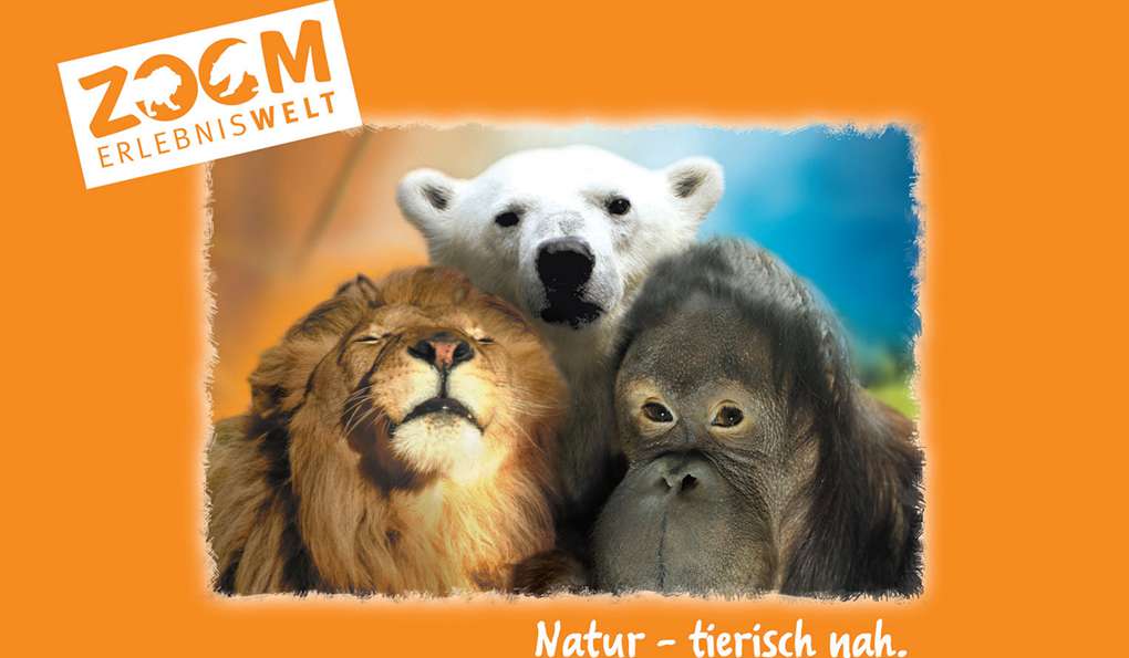 ZOOM Erlebniswelt Gelsenkirchen Zoo photo 1