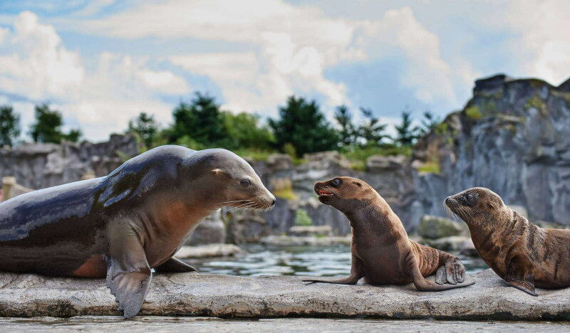 ZOOM Erlebniswelt Gelsenkirchen Zoo