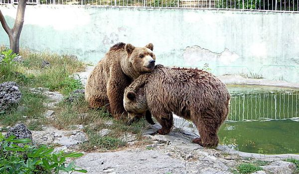 Зоопарк Варны фото 1