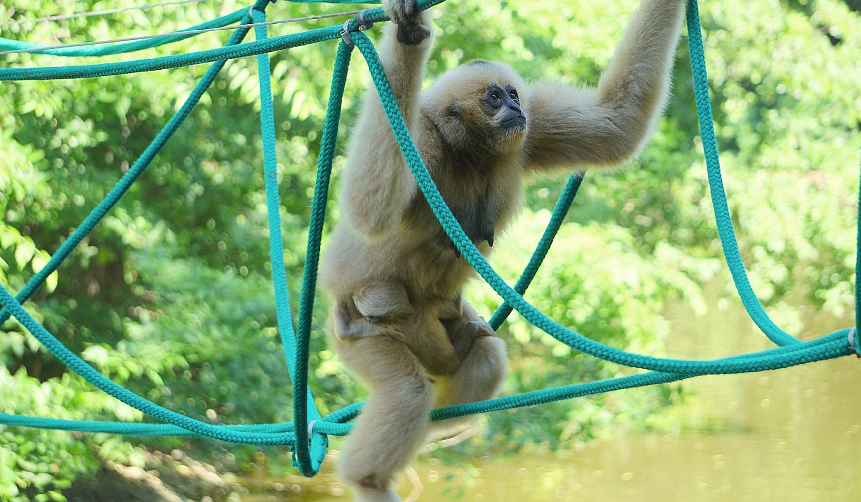 Зоопарк Вроцлава фото 1