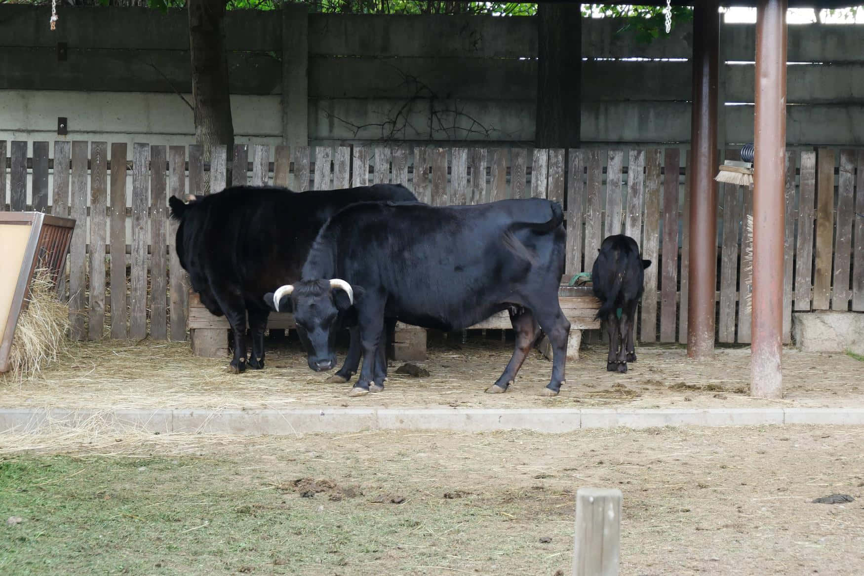 Зоопарк Вышков (ZooPark Vyškov) фото 1