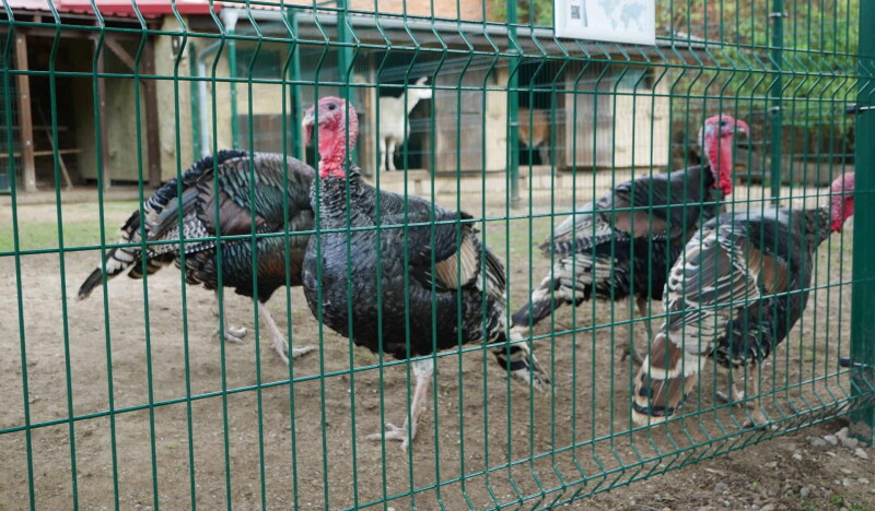 Зоопарк Вышков (ZooPark Vyškov)