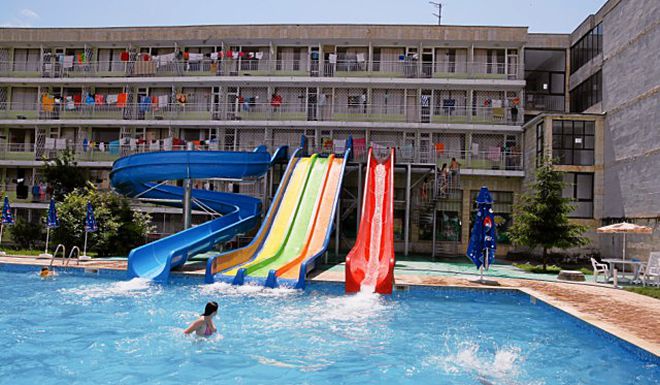 Альбатрос фото 1