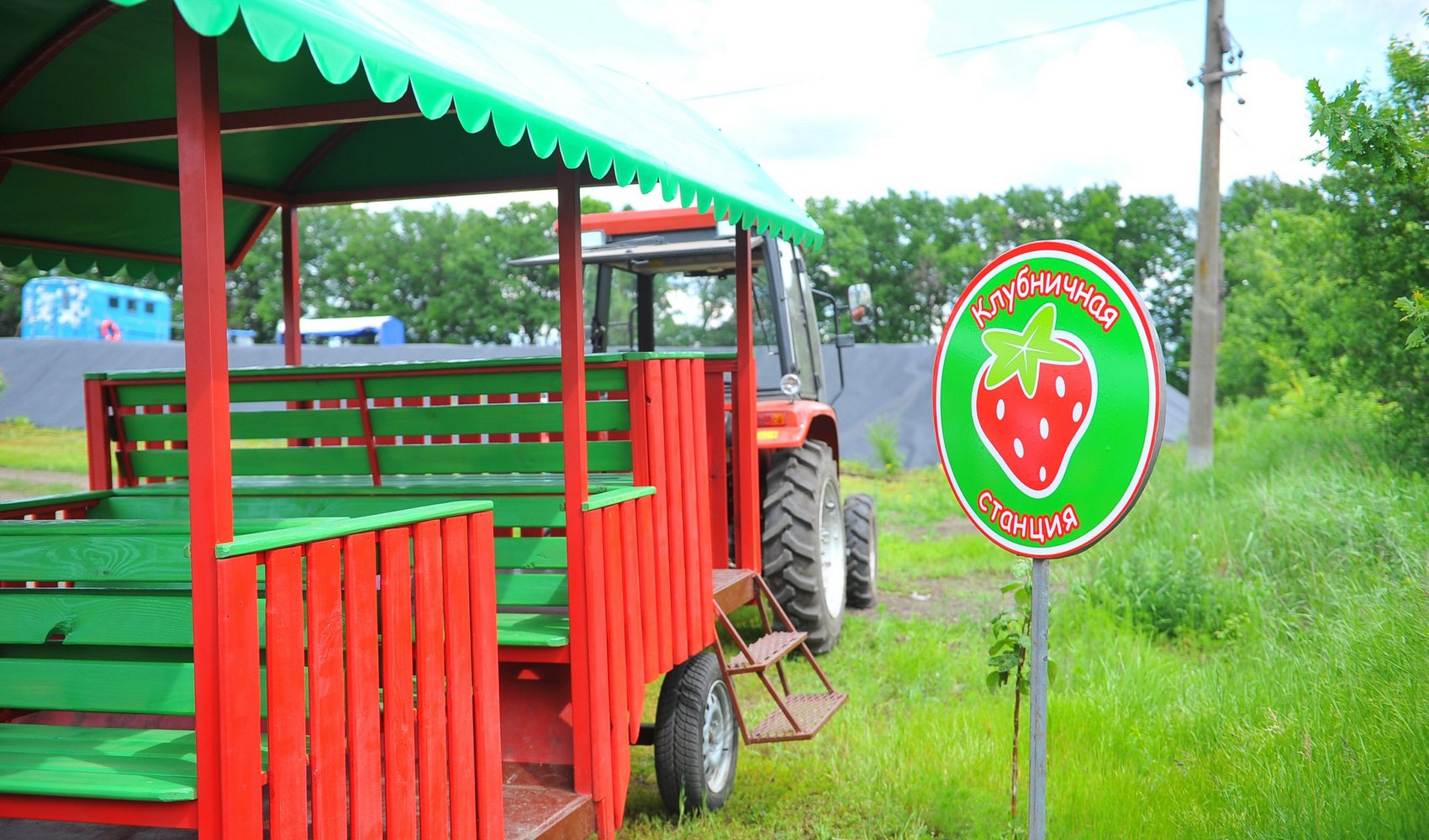 Berry Land фото 1