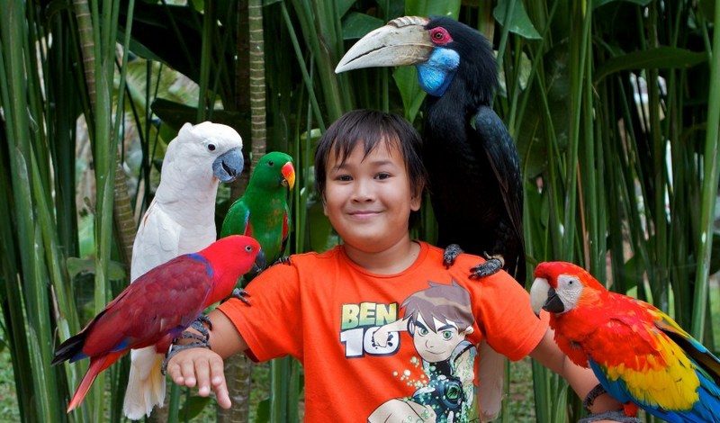 Bondalem Beach Club фото 1