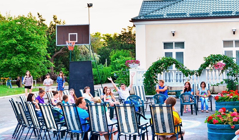 Чайка фото 1